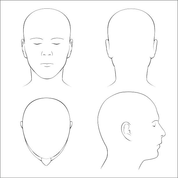 Free Consultation 1